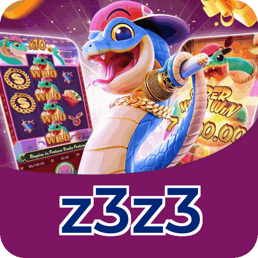 z3z3