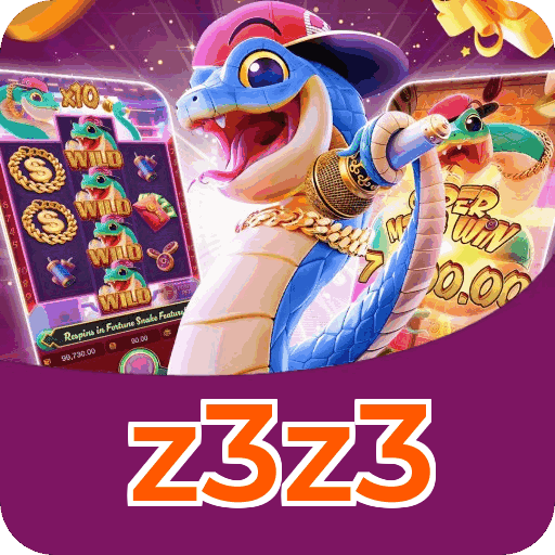 z3z3